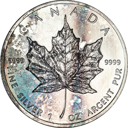 1 OZ CANADIAN SILVER MAPLE LEAF LOW PREMIUM