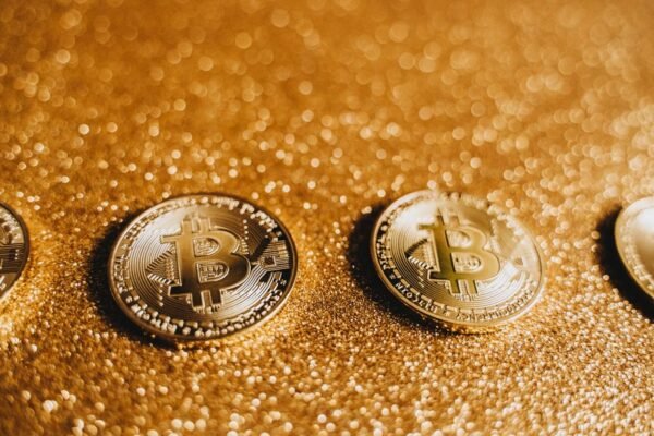 gold panda coins