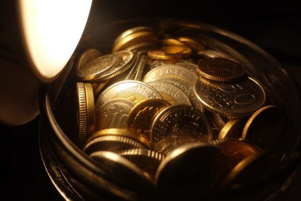 gold coins inspection